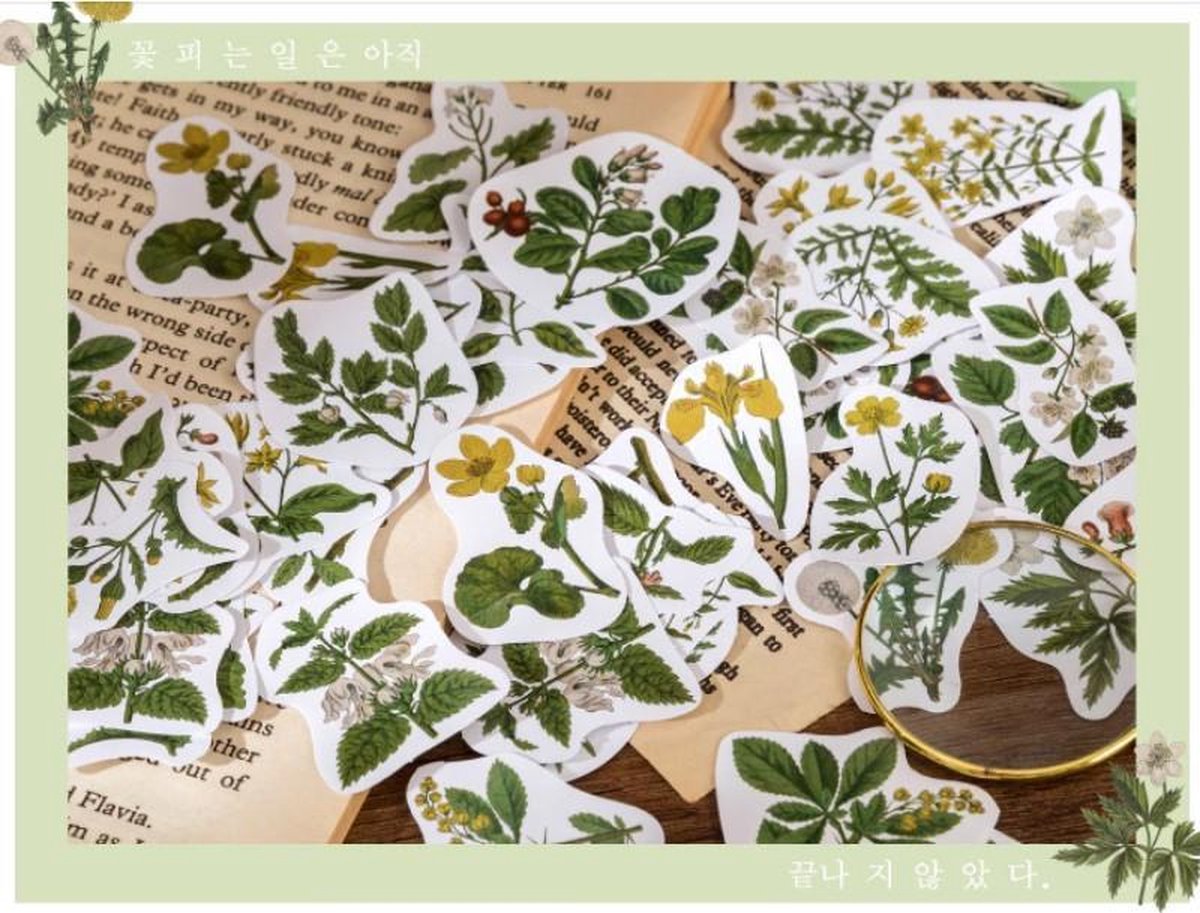46 Stickers Bloemen en planten - E027 - Voor Scrapbook Of  Bullet Journal - Thema Bloem En Plant Sticker - Stickers Voor Volwassenen En Kinderen - Agenda Stickers - Decoratie Stickers — afbeelding 2