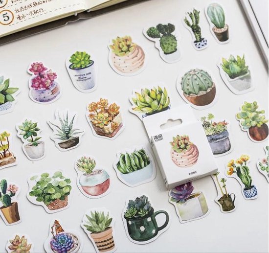50 Verschillende Stickers Cactussen en Vetplanten – Z0003 – Cactus En Vetplant In Pot Sticker – Voor Scrapbook Of Bullet Journal – Stickers Voor Volwassenen En Kinderen – Agenda Stickers – Decoratie Stickers