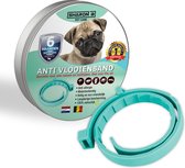 100% natuurlijke vlooienband Voor honden - Turquoise - Teken en vlooien - Zonder schadelijke pesticiden of giftige chemicaliën - Geur halsband