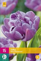 Jub Holland - bloembollen - Tulpen Blue Diamond - maat 11/12 - 15 stuks