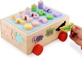 ZaciaToys Kleurrijke Vormenstoof - Steekkubus - Sorteerhuisje - Educatief speelgoed Kinderen - Puzzel - Motoriek - Vormherkenning en Concentratie