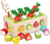 ZaCia Kleurrijke Vormenstoof Fruit - Steekkubus - Sorteerhuisje - Educatief speelgoed Kinderen Moestuin - Groenten - Fruit - Puzzel - Steekdoos voor baby en peuter - Motoriek - Vormherkenning
