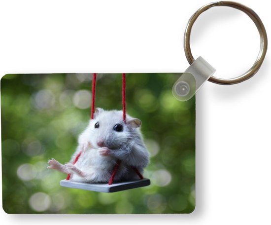 Porte-clés Hamster - Hamster sur une petite balançoire porte-clés plastique  -... | bol.com