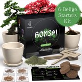 Lubadoo® - Bonsai Starters Kit - Zaden - Pot - Schaar - Voeding - Boek - Gereedschap