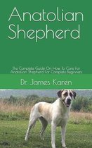 Anatolian Shepherd