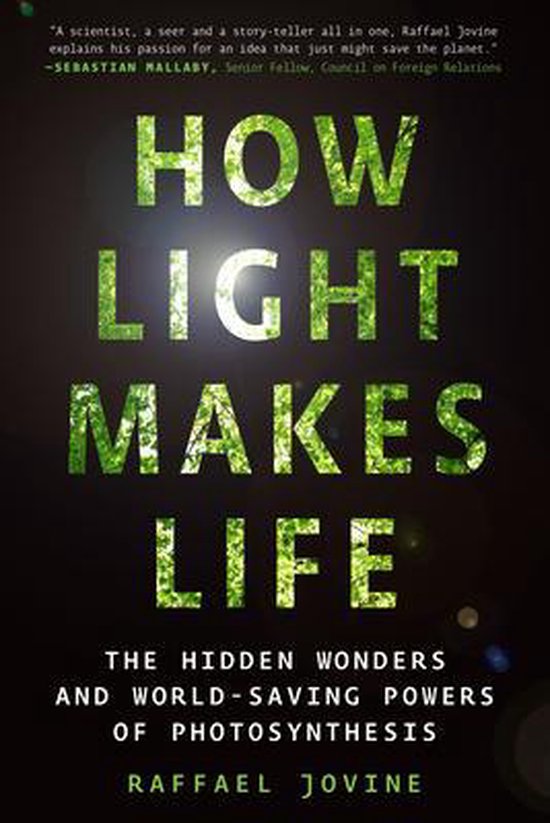 How Light Makes Life