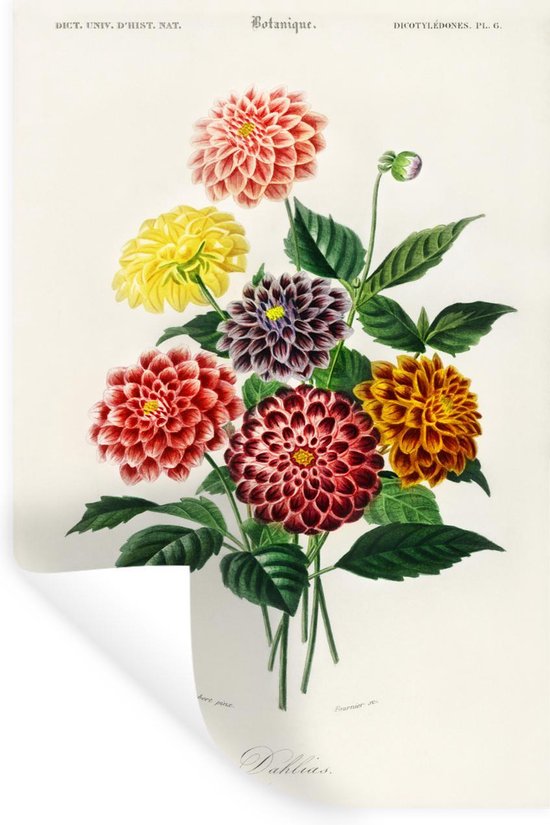 Muurstickers - Sticker Folie - Botanica - Vintage - Bloemen - 20x30 cm - Plakfolie - Muurstickers Kinderkamer - Zelfklevend Behang - Zelfklevend behangpapier - Stickerfolie