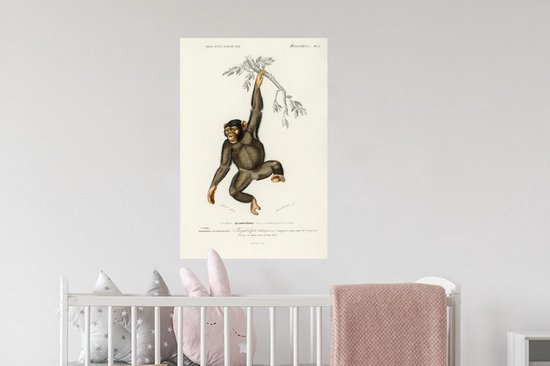 Stickers muraux - Singe - Vintage - Branche - 40x60 cm - Film Adhésif