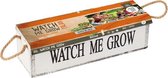 Watch me grow - Italian per 1