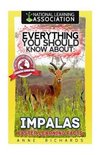 Everything You Should Know About