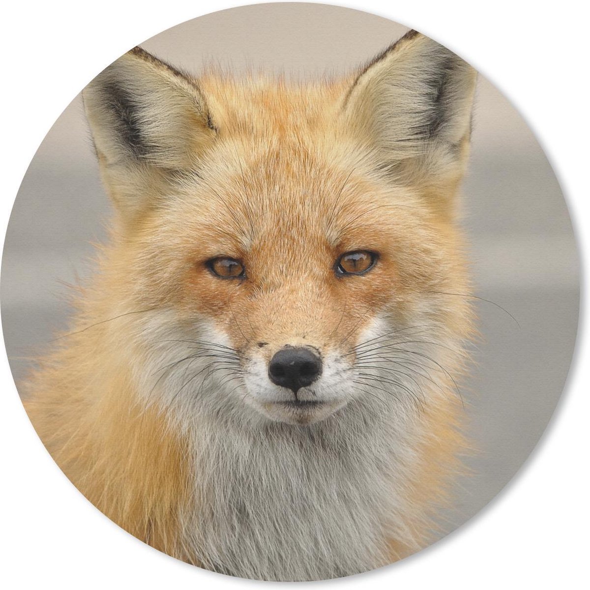Muismat rond 50x50 cm - Mousepad Vos - Macro - Rood - Ronde muismatten