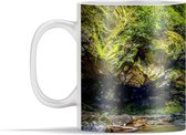 Mok - Een waterval in het Nationaal park Great Smoky Mountains in Amerika - 350 ml - Beker