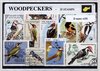 Afbeelding van het spelletje Spechten – Luxe postzegel pakket (A6 formaat) : collectie van 25 verschillende postzegels van spechten – kan als ansichtkaart in een A6 envelop - authentiek cadeau - kado - geschenk - kaart - vogel - vogels - specht - Picidae - Piciformes - hameren