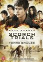 Maze Runner - Scorch Trials (DVD)