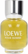 Loewe Pour Homme Et 100 Vp -formato Nuevo- Formato Nuevo