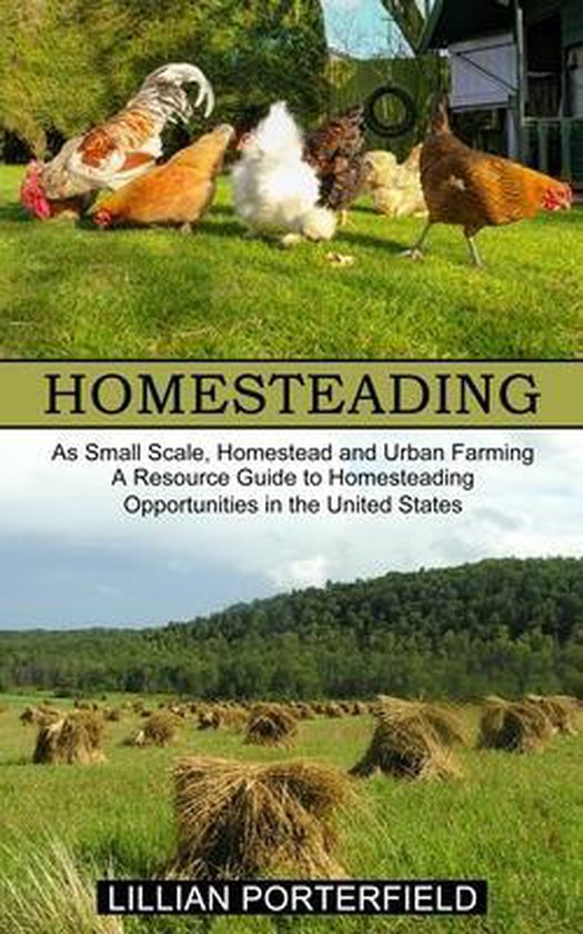 Homesteading - cover