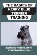 The Basics Of Kerry Blue Terrier Training: Everything You Should Know Before Training Your Dog