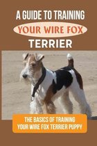 A Guide To Training Your Wire Fox Terrier: The Basics Of Training Your Wire Fox Terrier Puppy