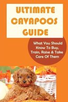 Ultimate Cavapoos Guide: What You Should Know To Buy, Train, Raise & Take Care Of Them