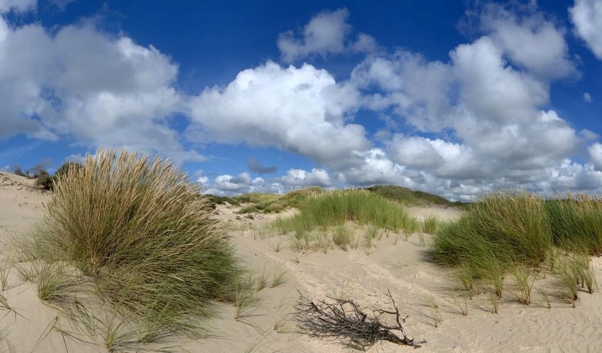 Fotobehang duinen Noordwijk 250 x 260 cm - € 175,--