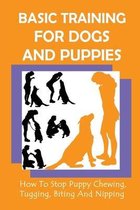 Basic Training For Dogs And Puppies: How To Stop Puppy Chewing, Tugging, Biting And Nipping