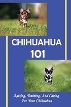 Chihuahua 101: Raising, Training, And Caring For Your Chihuahua