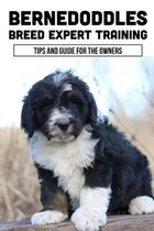 Bernedoddles Breed Expert Training: Tips And Guide For The Owners