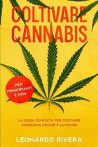 Coltivare Cannabis
