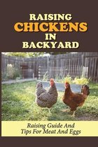 Raising Chickens In Backyard: Raising Guide And Tips For Meat And Eggs
