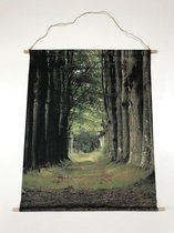 Wandkaart bomen bos