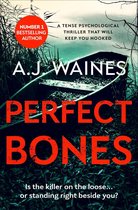 The Samantha Willerby Mysteries - Perfect Bones