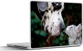 Laptop sticker - 17.3 inch - Kat - Hond - Deense Dog - 40x30cm - Laptopstickers - Laptop skin - Cover