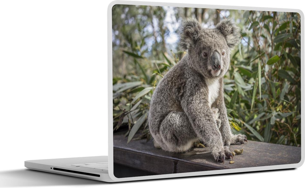 Laptop sticker - 17.3 inch - Koala - Plank - Planten - Kinderen - Jongens - Meiden - 40x30cm - Laptopstickers - Laptop skin - Cover