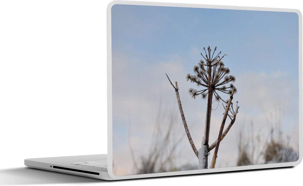 Afbeelding van product SleevesAndCases  Laptop sticker - 17.3 inch - Een uitgedroogde Angelica winterse lucht