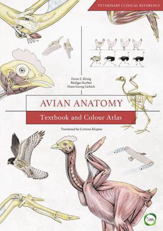Avian Anatomy - cover