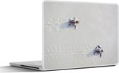 Laptop sticker - 14 inch - Twee kleine schildpadden - 32x5x23x5cm - Laptopstickers - Laptop skin - Cover