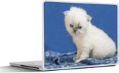 Laptop sticker - 12.3 inch - Kitten - Kleed - Blauw - Meisjes - Kinderen - Jongens - Kids