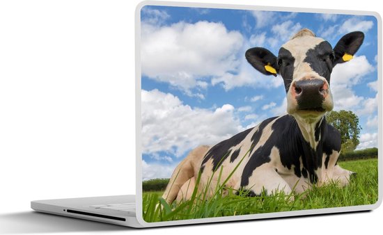 Sticker pour ordinateur portable - 12,3 pouces - Vache - Herbe - Ciel - 30x22cm - Autocollants pour ordinateur portable - Skin pour ordinateur portable - Housse