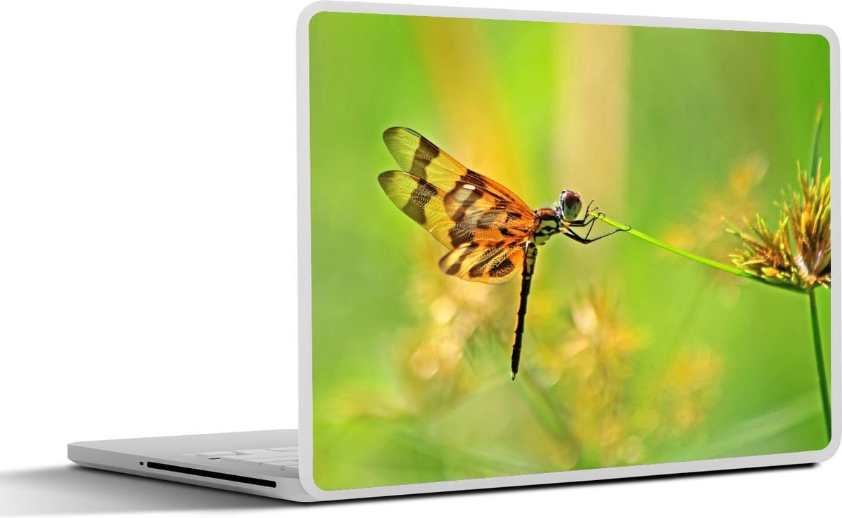 Afbeelding van product SleevesAndCases  Laptop sticker - 11.6 inch - Libelle houdt zich vast aan blad