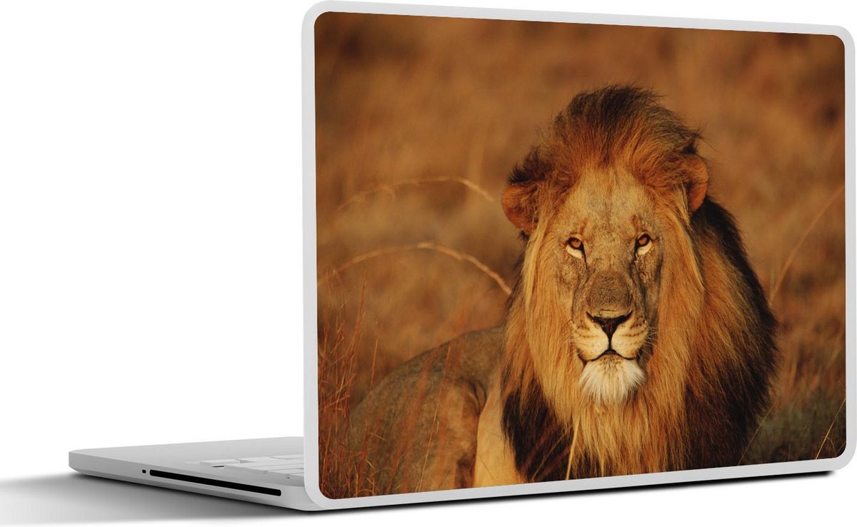 Laptop sticker - 12.3 inch - Leeuw - Portret - Jacht - 30x22cm - Laptopstickers - Laptop skin - Cover