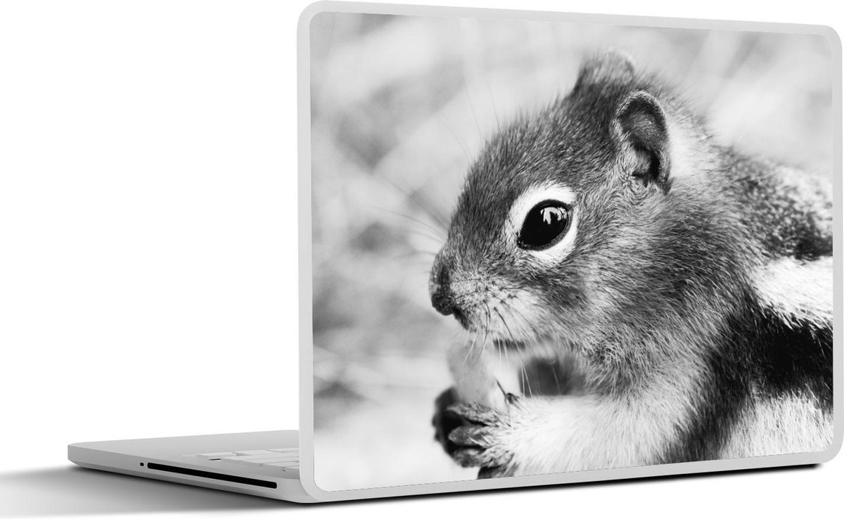 Laptop sticker - 13.3 inch - Etende eekhoorn op wazige achtergrond in zwart-wit - 31x22,5cm - Laptopstickers - Laptop skin - Cover