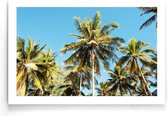 Walljar - Palmbomen Blauwe Lucht - Muurdecoratie - Poster