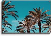 Walljar - Palmbomen Blauwe Lucht II - Muurdecoratie - Plexiglas schilderij