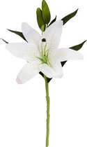 Gerimport Kunstbloem Vara Lilium 13 X 17 X 43 Cm Wit/groen