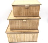 Sterk - Bamboe Manden 3 stuks Met Deksel | Multifunctionele mand | Opbergmanden | 24x18x13cm | 29x23x14cm| 32x25x15cm | Opberg Box/Doos/Mand/Vakken - Opbergsysteem