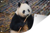 Tuinposter - Tuindoek - Tuinposters buiten - Panda - Bamboe - Bladeren - 120x80 cm - Tuin