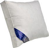 Ten Cate Hoofdkussen - Hoofdkussen Nekklachten - Eendendons & Eendenveren - Halfdons - Hoofdkussens - Geschikt voor rug-, zij- en buikslapers - Ergonomisch Boxkussen - 60x70 cm