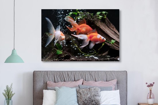 Canvas schilderij 180x120 cm - Wanddecoratie Dieren - Goudvis - Water - Muurdecoratie woonkamer - Slaapkamer decoratie - Kamer accessoires - Schilderijen