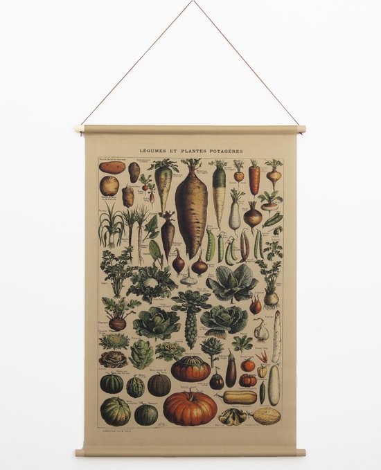 Wanddoek Botanisch Groenten - Vintage Schoolplaat - Koken en Keuken - 90x60  cm -... | bol.com
