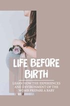 Life Before Birth: Learn How The Experiences And Environment Of The Womb Prepare A Baby